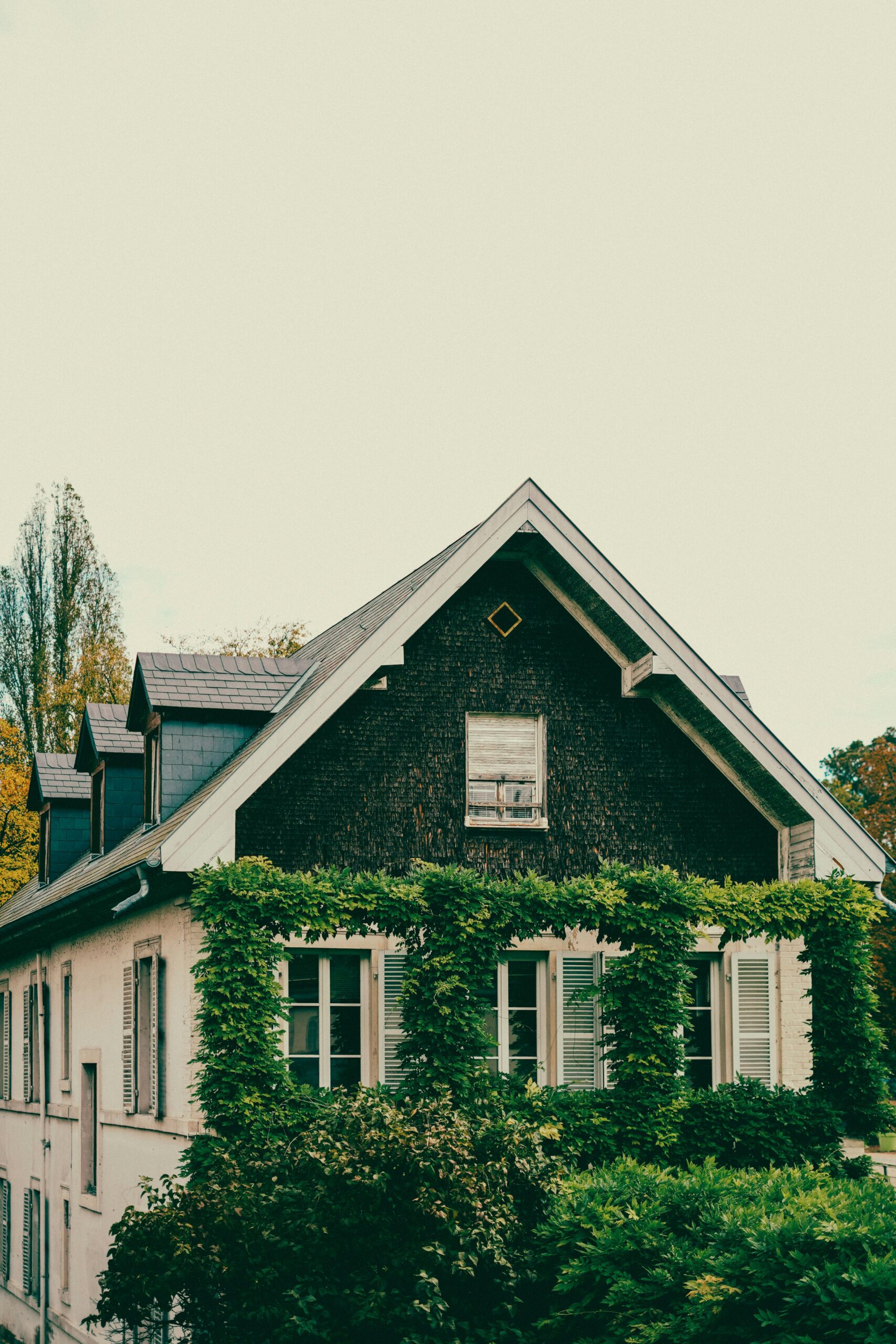 Elysium Homes